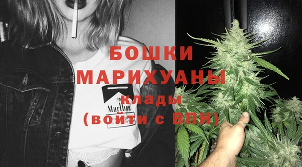 шишки Верхний Тагил