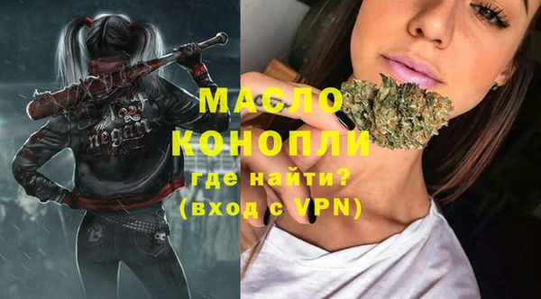 шишки Верхний Тагил