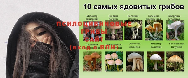 шишки Верхний Тагил