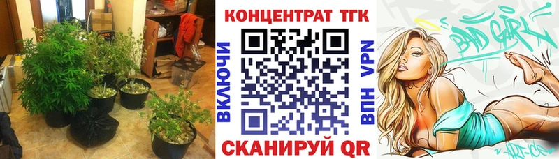 ТГК концентрат  MEGA   Нюрба 