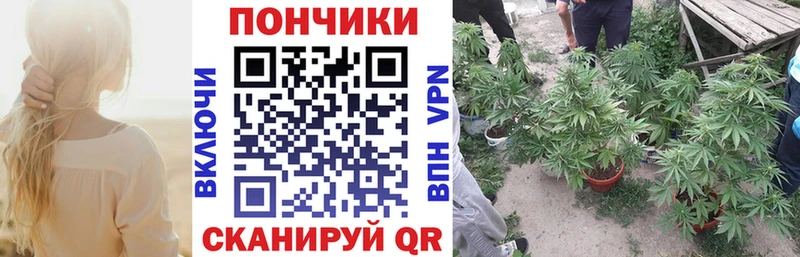 MEGA   Нюрба  Бошки марихуана Ganja 